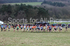Junior men, 2018 Northern Cross Country Champs., Harewood House, Leeds. Photo: David T. Hewitson/Sports for All Pics